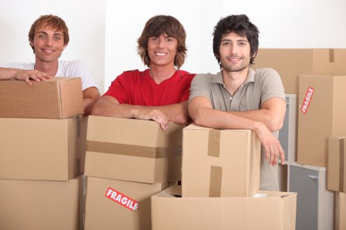 Experienced movers handling household items